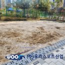 연푸른초등학교 이미지