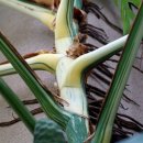 이레가든 이미지