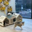 아띠랑유치원 이미지