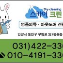 스카이크린 이미지