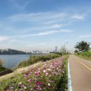 에이프릴의원 이미지