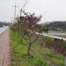 초록마을5단지경로당 이미지