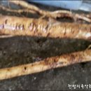 만성농장 이미지