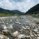 청정가든 이미지