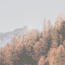 산 이미지
