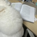 냠냠마켓 영종도점 | 얼레벌레 후딱 지나간 9월