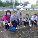 중랑천 제3체육공원 이미지