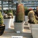 고양누리길 6코스 평화누리길 이미지