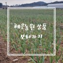 혜은농장 이미지