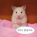 신한카드 SOL페이 스퀘어 라이브홀 이미지