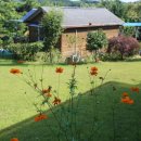 홍조바다 이미지