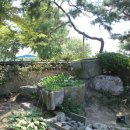 최가밥상 이미지