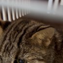 앵무새동물원 이미지