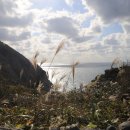 산내들내 이미지