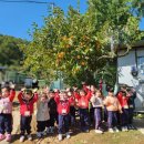 비룡농장 이미지