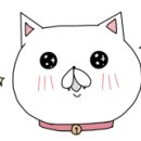 오이도연안집