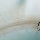 영암도포중학교 이미지