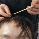 머리나라 이미지