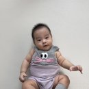 M텔 | 26 아프리콧 대장치 후기
