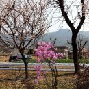 안법보건진료소 이미지