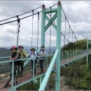 진전면100 이미지