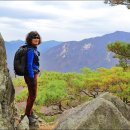 자작바위 이미지