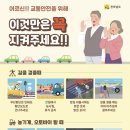 전남도, 교통사고 사망자 감소 총력전- 올해 다시 증가세…어르신·농기계 안전대책 강화- 가을 행락철 맞아 집중 홍보·현장 교육 추진 이미지