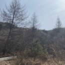 군남농장 이미지