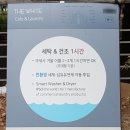 성화세탁빨래방 | &#34;더 화이트&#34; 셀프 빨래방에서 카페트 세탁해 봤어요~코인 셀프 빨래방 후기