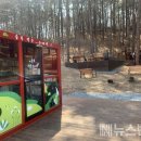 계룡숲작은도서관 이미지