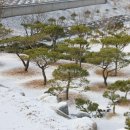 갈월공원 이미지