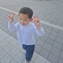 드림랜드 | 천안 아이랑 가볼만한 곳 키즈카페 테테루 드림랜드 방문 후기