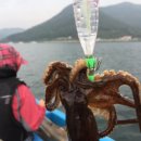 시락 소포마을 이미지