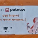 꽃개꽃냥