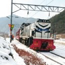 [울산출발] 1월 11일 (일) 백두대간 협곡열차 &amp; 분천 싼타마을 힐링여행 이미지