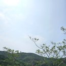 당리 동원 2차베네스트아파트 이미지