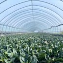 심성 농장 이미지