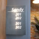 YOLO SANDY 이미지