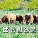 천지한우농장 이미지