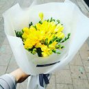 후리지아 이미지