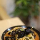 진시황 반점 이미지