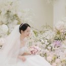 그레이스파티
