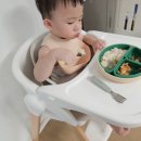 두리반디 이미지