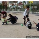 죽도초 병설유치원 이미지