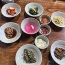 서울쌈밥 | 서울 나들이 안산 자락길 /녹원쌈밥 연희점/로덴드론 내돈내산후기