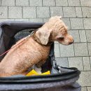 로엘유치원 이미지