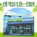 [수성구청] 생각을 담는 정원 | 대구 수성구/ 생각을 담는 정원/ 방문후기, 무료운영, 아이랑 함께 작은 식물원 방문