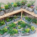 사랑채 노인복지회관 이미지