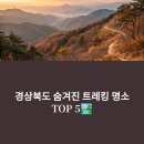 신흥오토 | 경북 인기 트레킹 명소 TOP 5 - 역사와 자연을 걷는 웰빙 힐링 코스