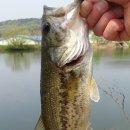 송산2교 이미지